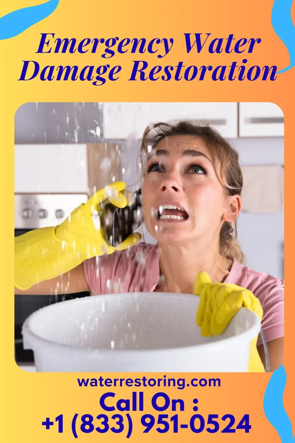Emergency Water Damage Restoration in Pell City, AL