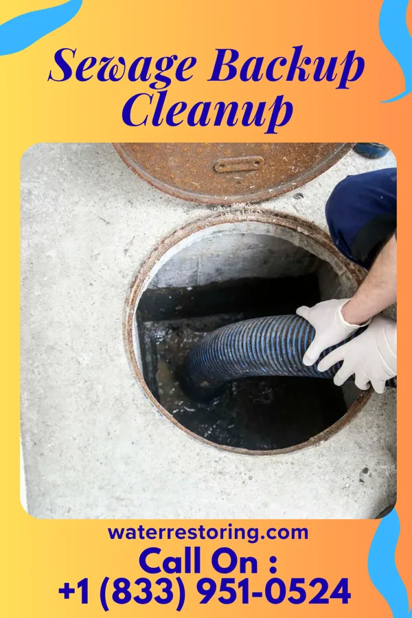 Sewage Backup Cleanup in Pell City, AL