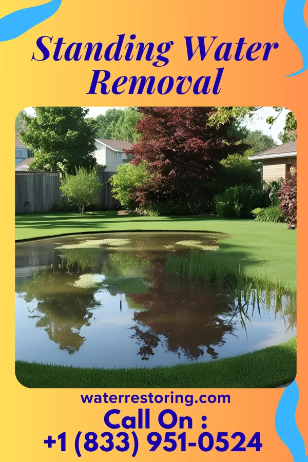 Standing Water Removal in Pell City, AL